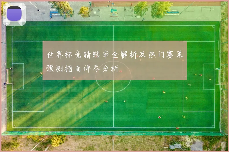世界杯竞猜赔率全解析及热门赛果预测指南详尽分析