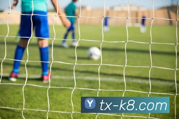 凯发娱乐平台展示图