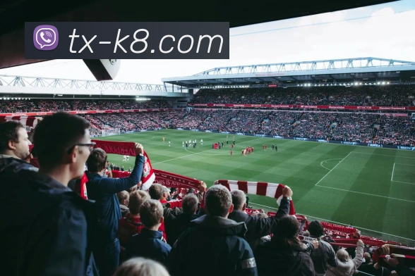 凯发体育下载带你畅享全球精彩体育赛事实时直播体验